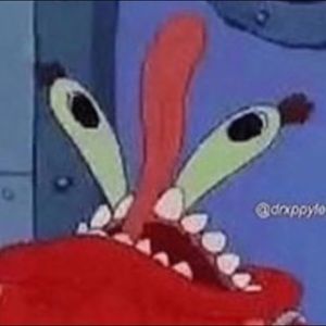 Meet your Posher, Connor